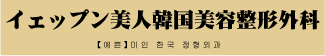 韓国美容整形外科LOGO